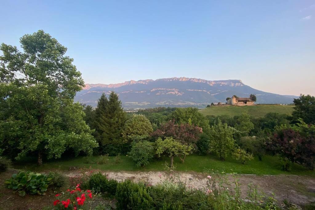 Au Calme Avec Vue Magnifique A Saint Maximin 아파트 외부 사진