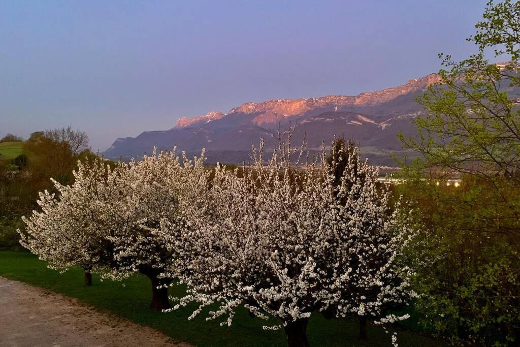 Au Calme Avec Vue Magnifique A Saint Maximin 아파트 외부 사진